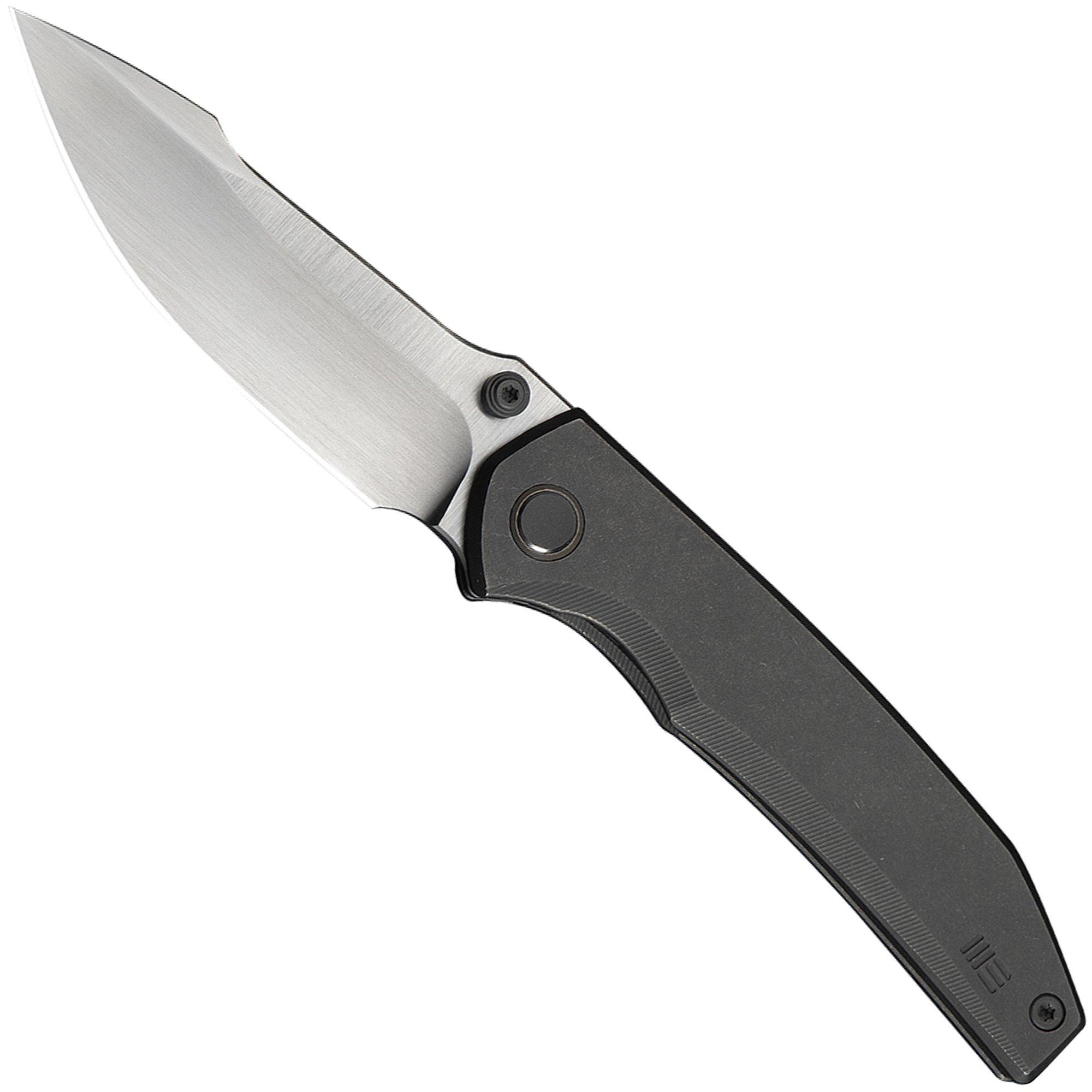 WE Knife Ryson WE24086-2 Hand Satin Böhler M390, Gray Titanium, pocket knife, Raven The Pirate design