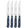Afbeelding voor Wüsthof Classic Color Wild Blueberry 1061760406, 4-delige steakmessenset