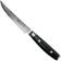 Image for Yaxell Ran 36013 steak knife 11 cm